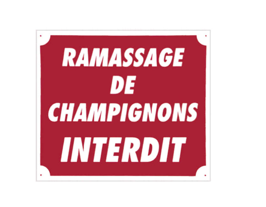 Panneau ''Ramassage de champignons interdit'' 30 x 25 cm