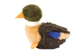 Peluche canard