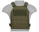 Gilet Standard Issue plate carrier 1000D OD