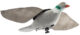 Appelant Pigeon Super flap_default