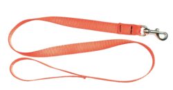 Laisse 1,20 m sangle orange fluo pour chien - Country