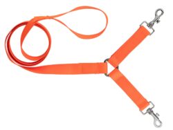 Laisse 1,30 m sangle nylon 2 chiens orange fluo - Country