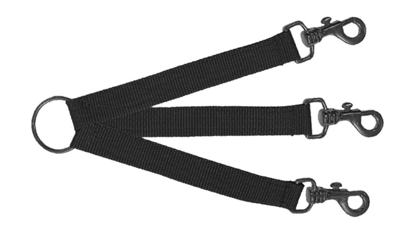 Accouple nylon vert pour trois chiens