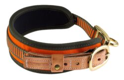 Collier chien de sang orange fluo - Niggeloh