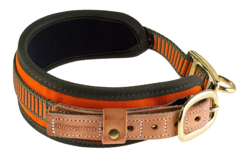 Collier chien de sang orange fluo - Niggeloh