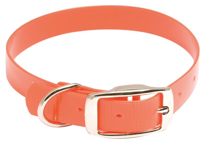 Collier pour chien Hiflex orange fluo - Country