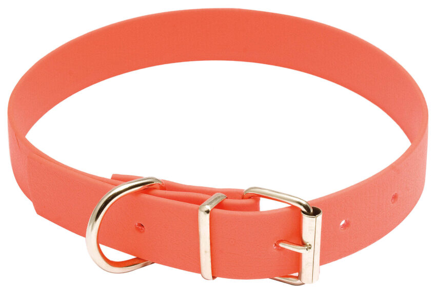 Collier pour chien Biothane orange fluo - Country