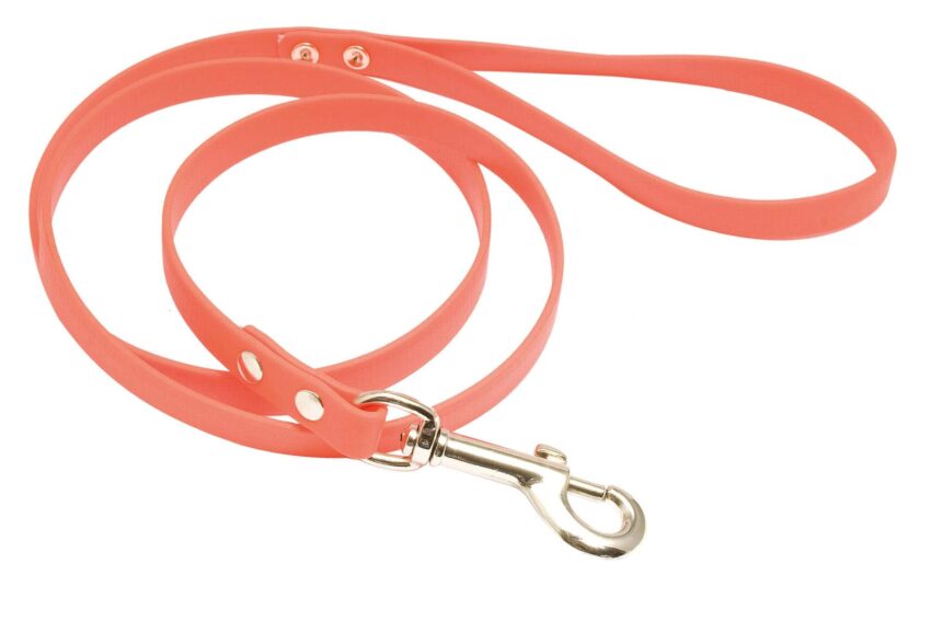 Laisse 1,20 m Biothane orange fluo pour chien - Country