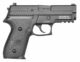 Réplique GBB PROFORCE P229 Gaz 1,0J