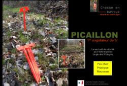 Angulateur de tir Picaillon