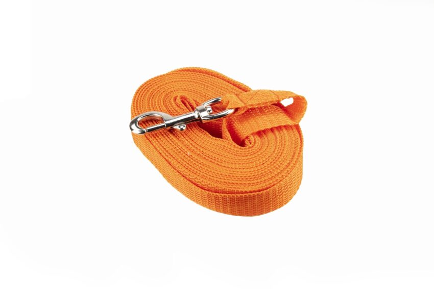 Longe Sangle 10 m Orange