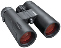 Jumelles Bushnell Engage EDX 10x42 mm