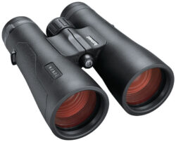 Jumelles Bushnell Engage EDX 10x50 mm