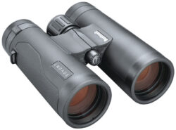 Jumelles Bushnell Engage EDX 8x42 mm