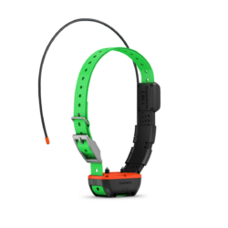 Collier De Suivi Et De Dressage Garmin Tt™25F