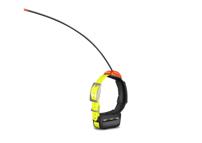 Collier de suivi Garmin t™ 5 - version F