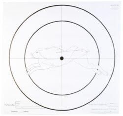 Lot de 100 Cibles d'essai Fusil 90x90