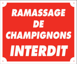 Panneau ramassage de champignons interdit - 25X30 cm