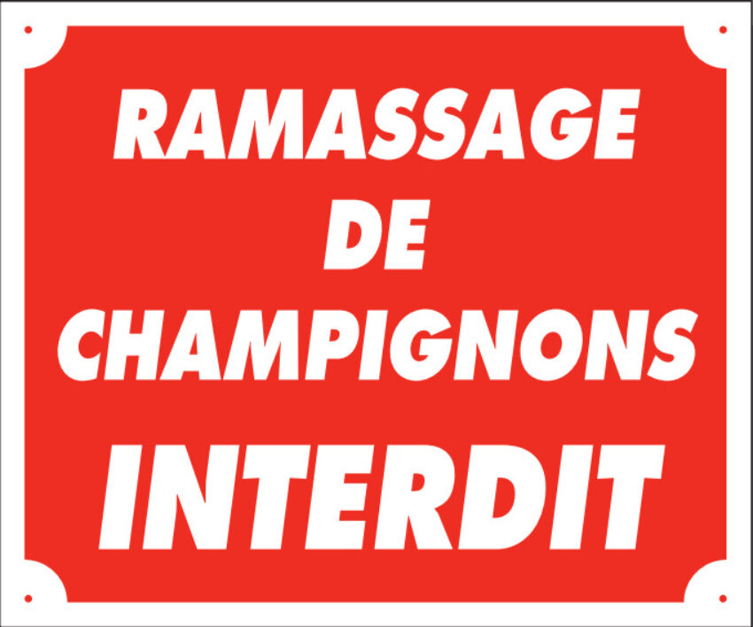 Panneau ramassage de champignons interdit - 25X30 cm