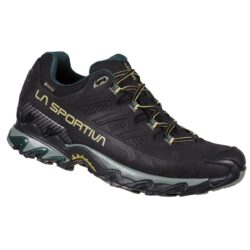 Ultra Raptor II Cuir Large GTX