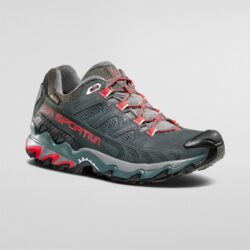 Ultra Raptor II Cuir Femme GTX