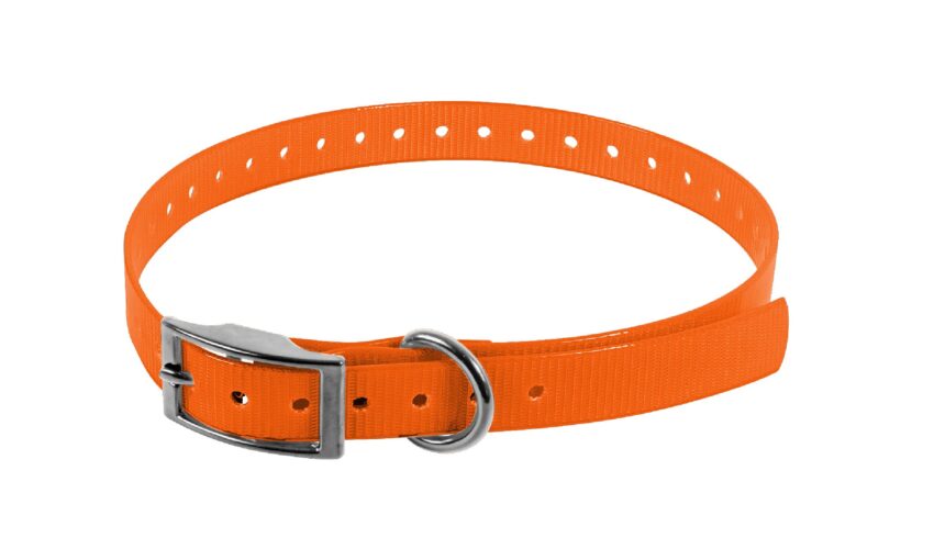 COLLIER BIOTHANE BIOGOLD 450X19X2.6 ORANGE