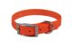 COLLIER BIOTHANE BETA 450X19MM ORANGE_default