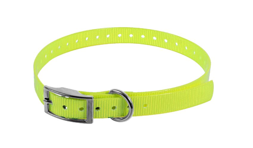 COLLIER BIOTHANE BIOGOLD 450X19X2.6 JAUNE