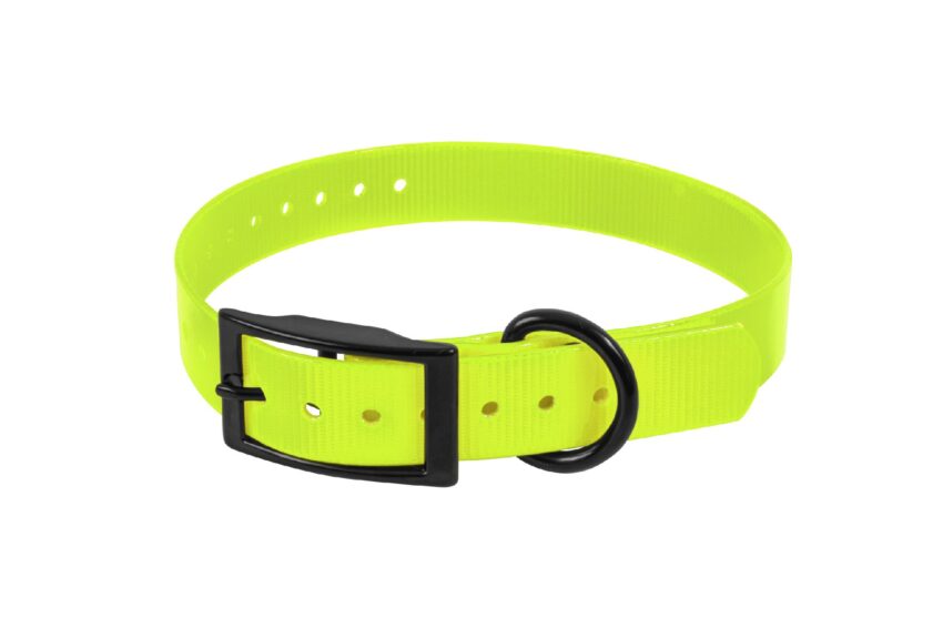 COLLIER BIOTHANE BIOGOLD 600X25X2.6 JAUNE