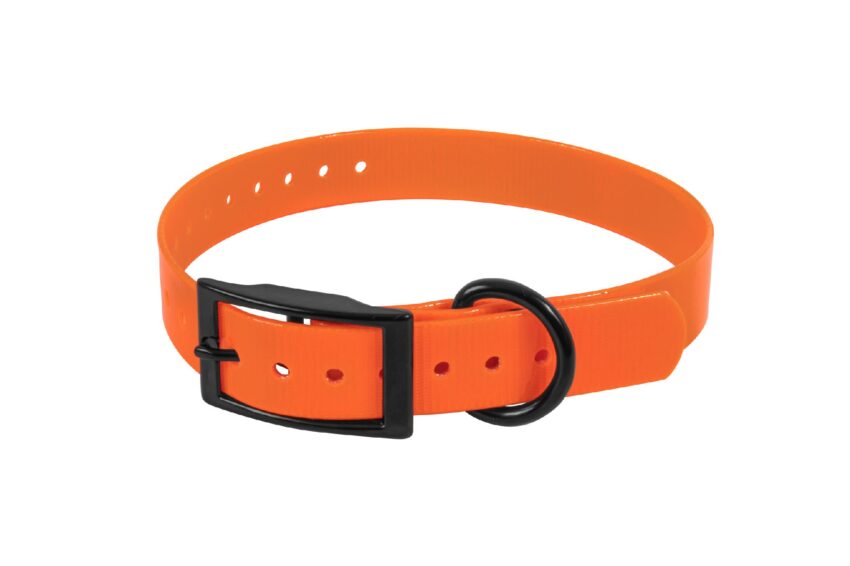 COLLIER BIOTHANE BIOGOLD 600X25X2.6 ORANGE